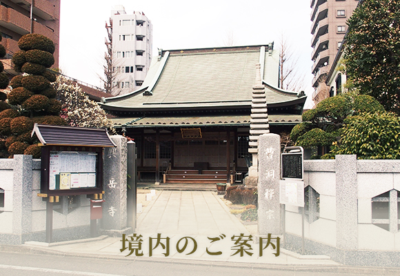 境内のご案内