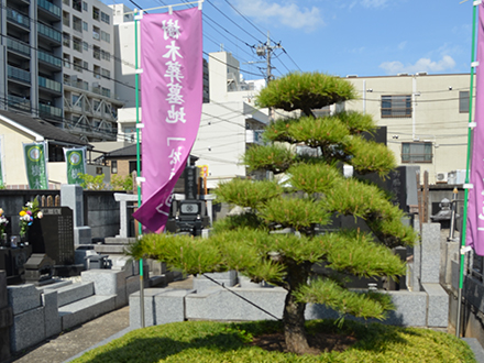 松龍苑